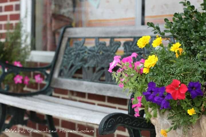 bench flowers