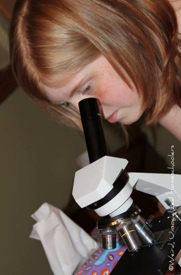 Brianna microscope