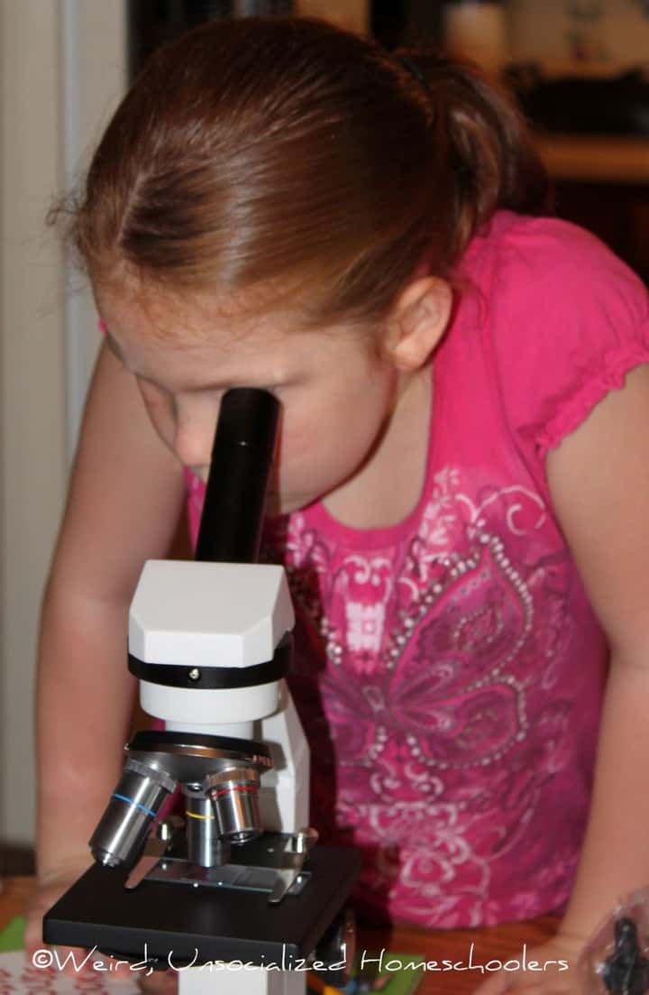 Megan Microscope
