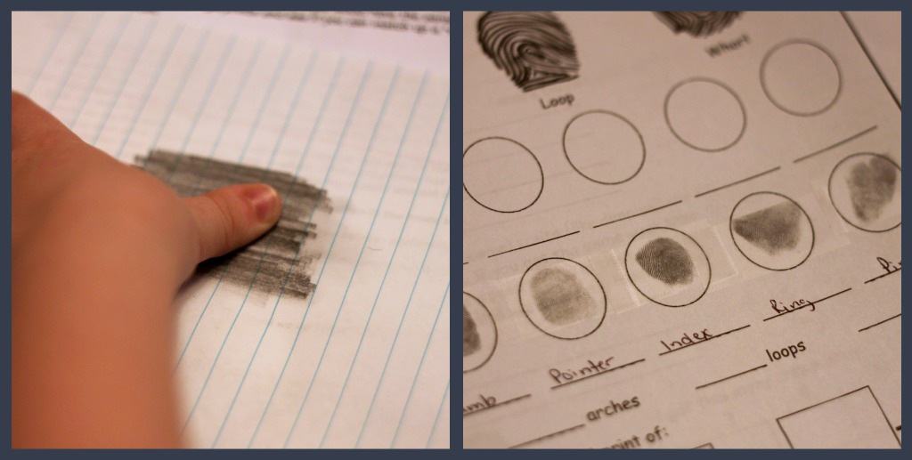 fingerprints[7]