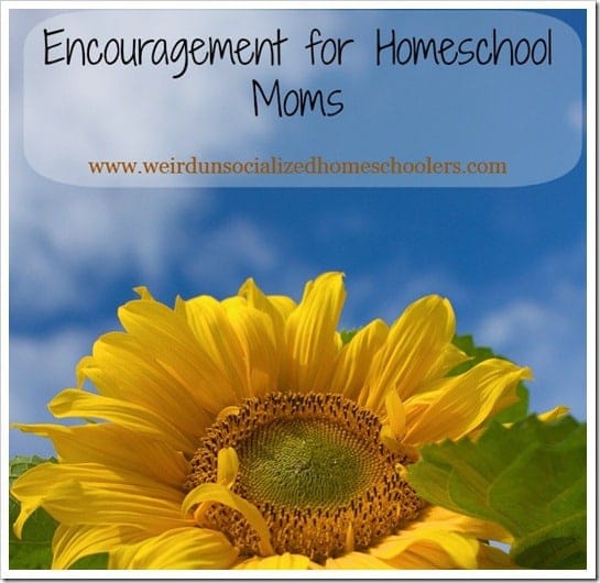 Encouragement for Homeschool Moms