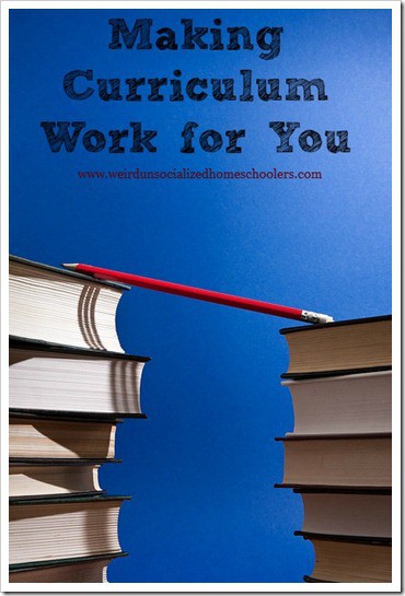 Making Curriculum Work for You