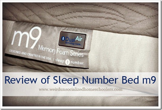 Review of Sleep Number Bed m9