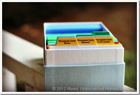 All About Spelling Storage Box
