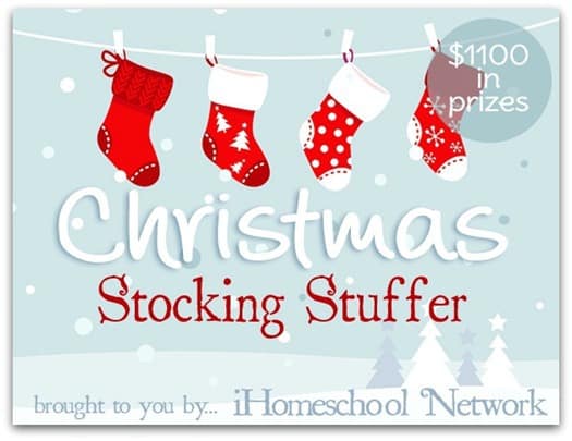 Christmas-stocking-stuffer-1100