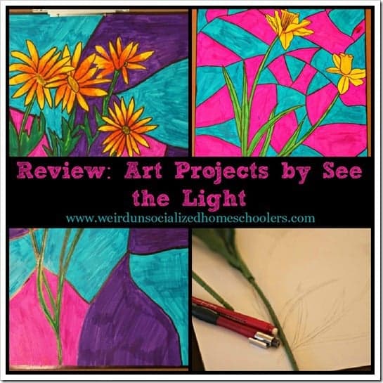 Review of Art Projects by See the Light