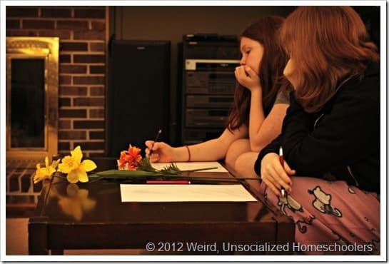 art projects for homeschoolers