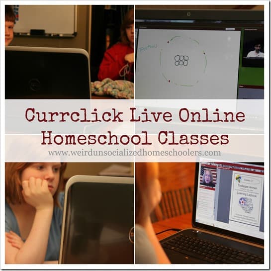 Review of Online Classes for Homeschoolers 