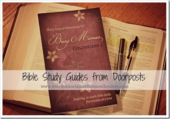 Thirty Days of Bible Study for Busy Mamas and Because You Are Strong for boys 12 and up
