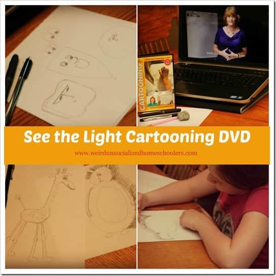 See the Light Art Review