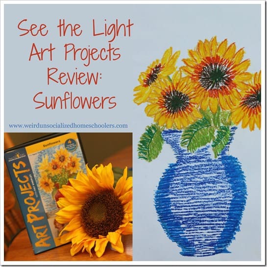Art Projects Review Sunflowers
