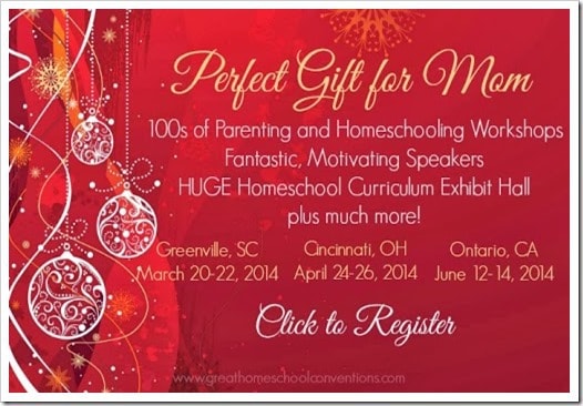 Perfect Gift for Homeschool Mom