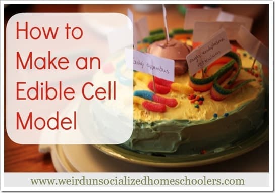 How to Make an Edible Cell Model