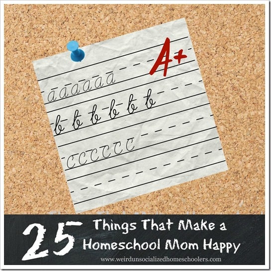 25 Things That Make a Homeschool Mom Happy