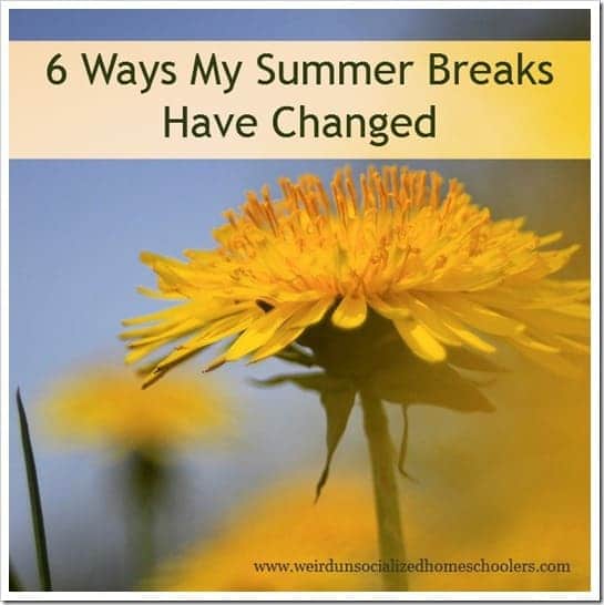6 Ways My Summer Breaks Have Changed