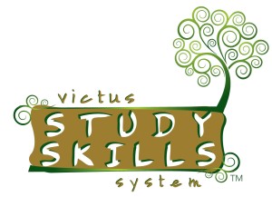 V3S logo
