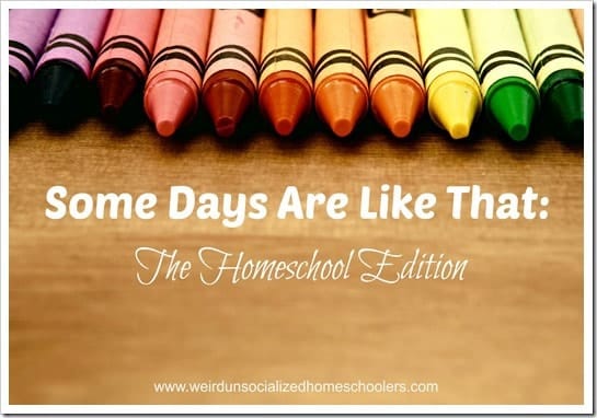Some Days Are Like That: The Homeschool Edition