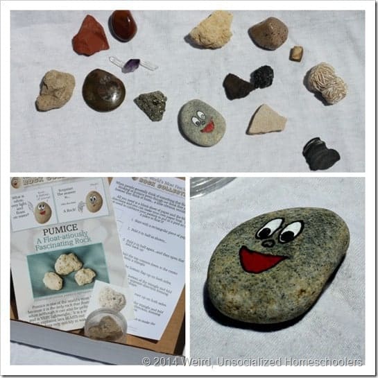 Rock Collection Kit
