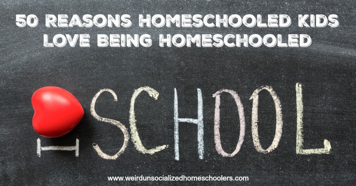 50 Reasons Homeschooled Kids Love Being Homeschooled