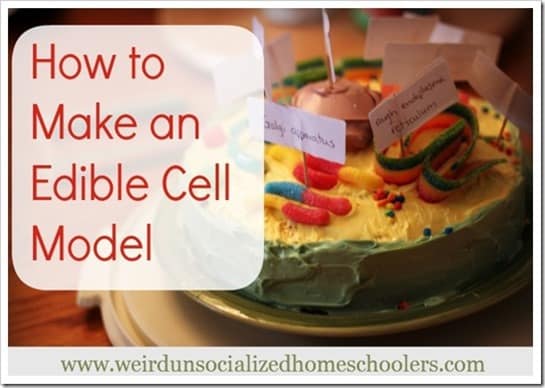 How-to-Make-a-Cell-Model-Cake