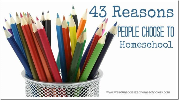 43 Reasons People Choose to Homeschool