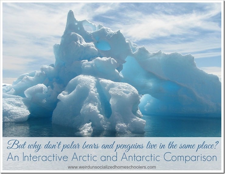 Help your kids undestand the differences between the Arctic and Antarctica. Includes free printable.