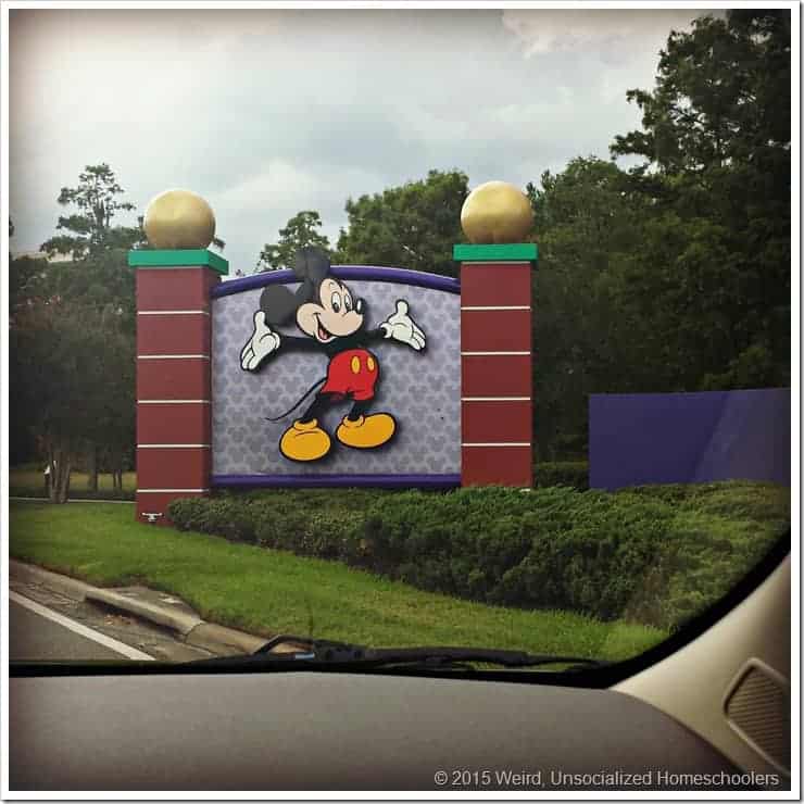 First glimpse of Disney