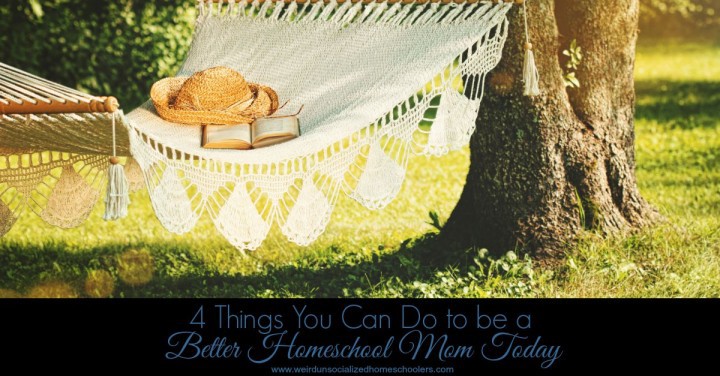 4 Things You Can Do to be a Better Homeschool Mom Today