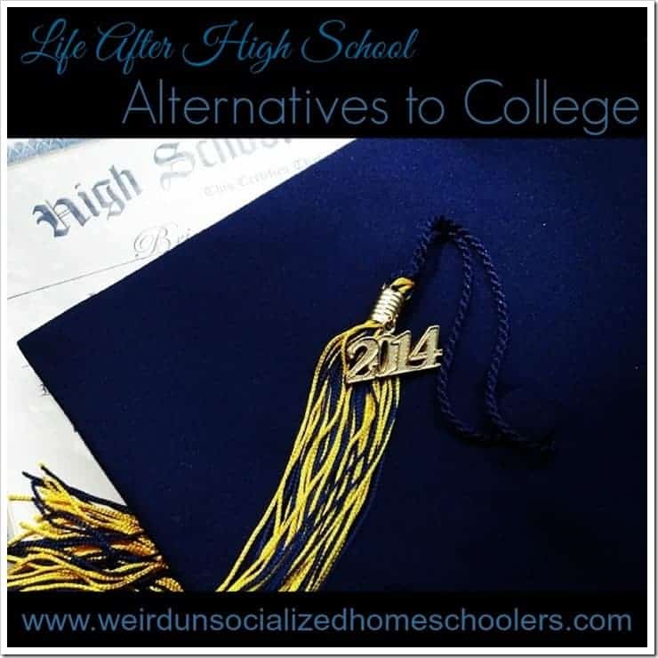 College alternatives for high school graduates