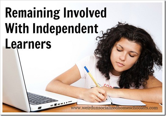 How to remain involved with independent learners