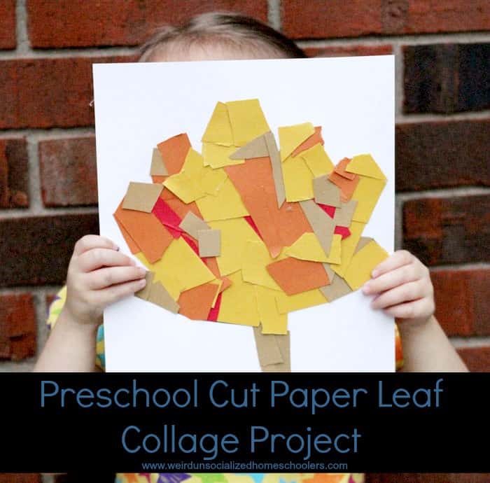 Preschool Cut Paper Leaf Collage Project