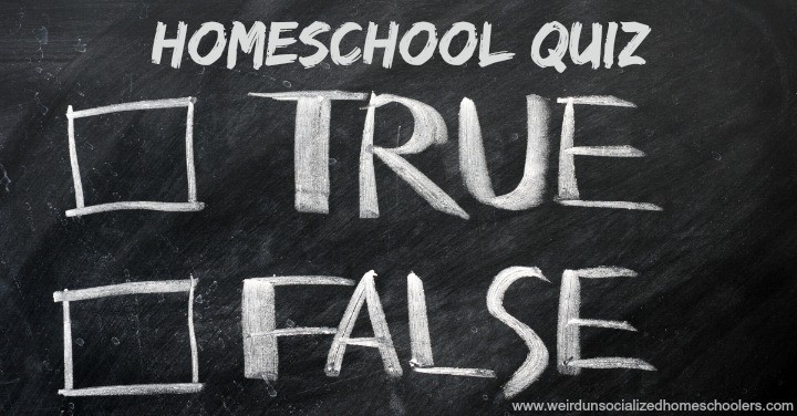 Homeschool True False Quiz: A humorous look at the things people think about homeschoolers