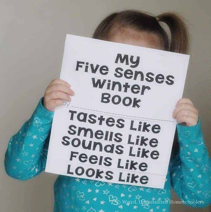 5 senses winter flip book