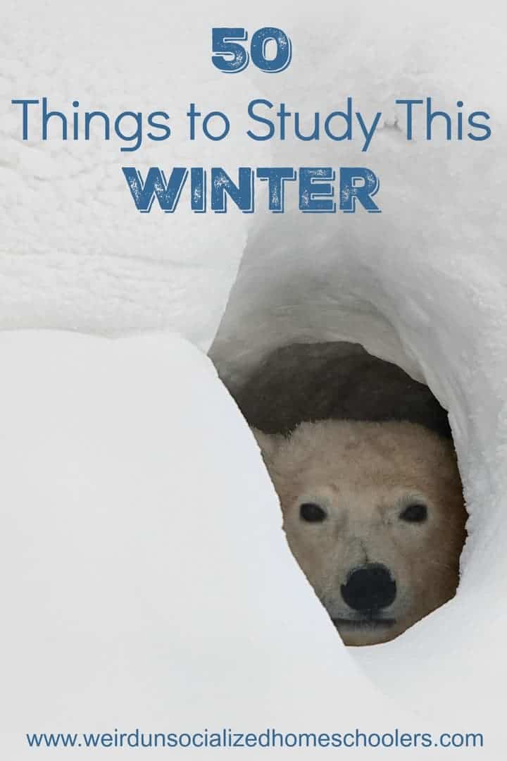 50 Things to Study this Winter