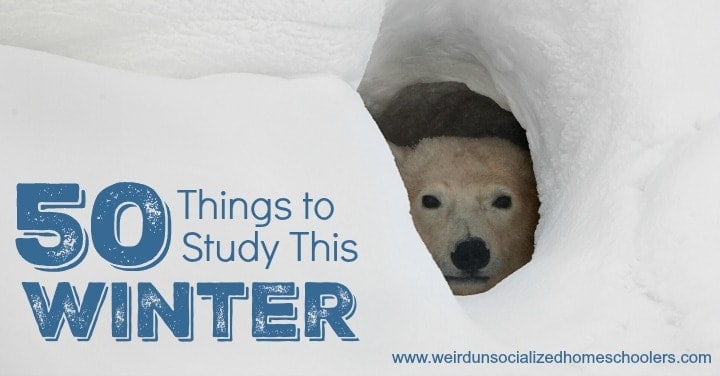 50 Things to Study this Winter