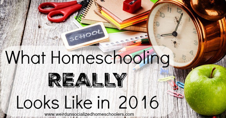 What Homeschooling REALLY Looks Like in 2016