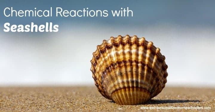 Chemical Reactions with Seashells