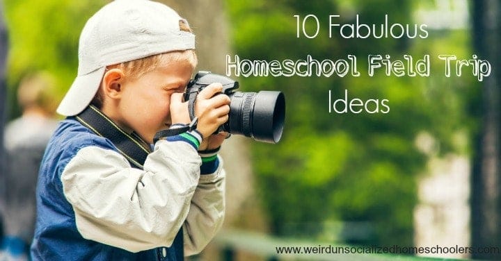 10 Fabulous Homeschool Field Trip Ideas
