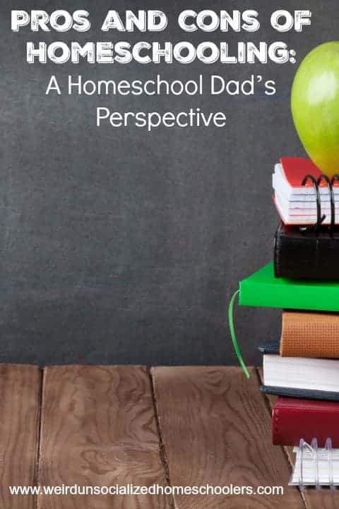 Pros and Cons of Homeschooling A Homeschool Dad’s Perspective pin