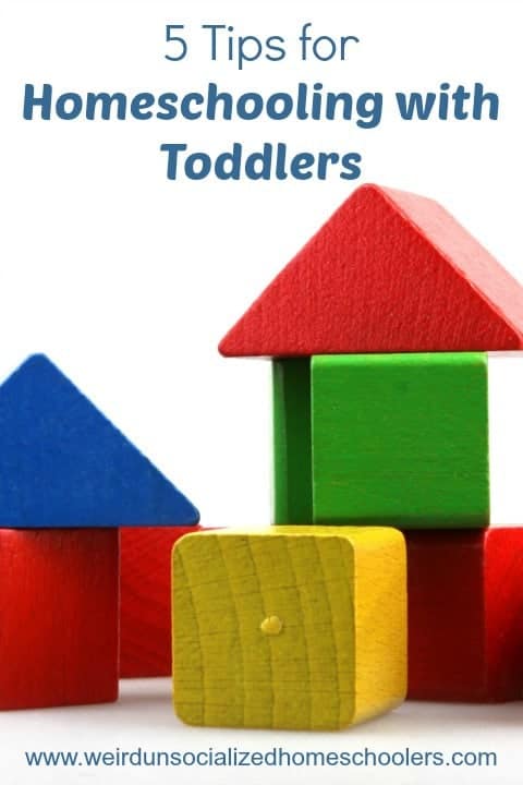 5 Tips for Homeschooling with Toddlers
