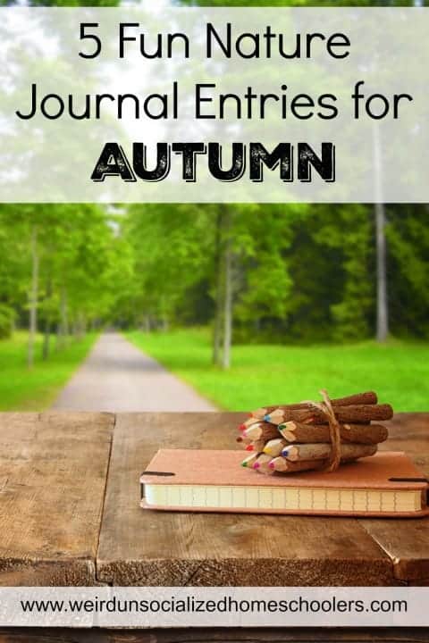5 Fun Nature Journal Entries for Autumn Nature Study