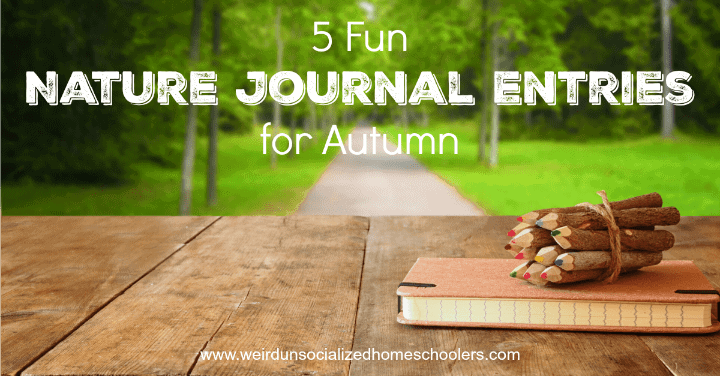 5 Fun Nature Journal Entries for Autumn Nature Study
