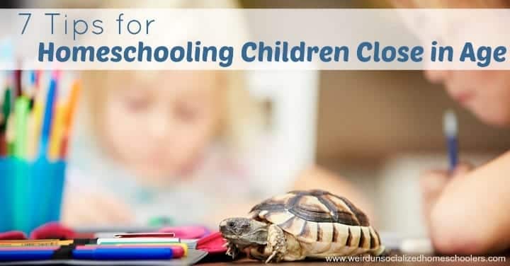 7-tips-for-homeschooling-children-close-in-age